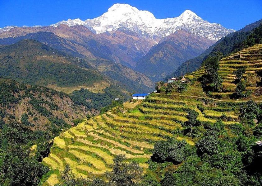 Annapurna South and Hiunchuli on route to Chomrong