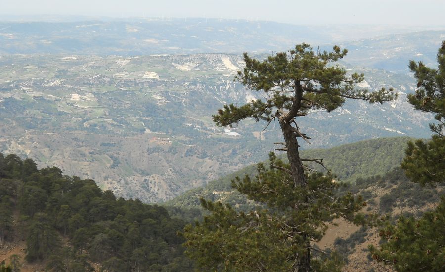 View to the South from the Artemis Trail on Mount Olympus