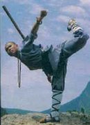 http://www.shaolin-wushu.de 