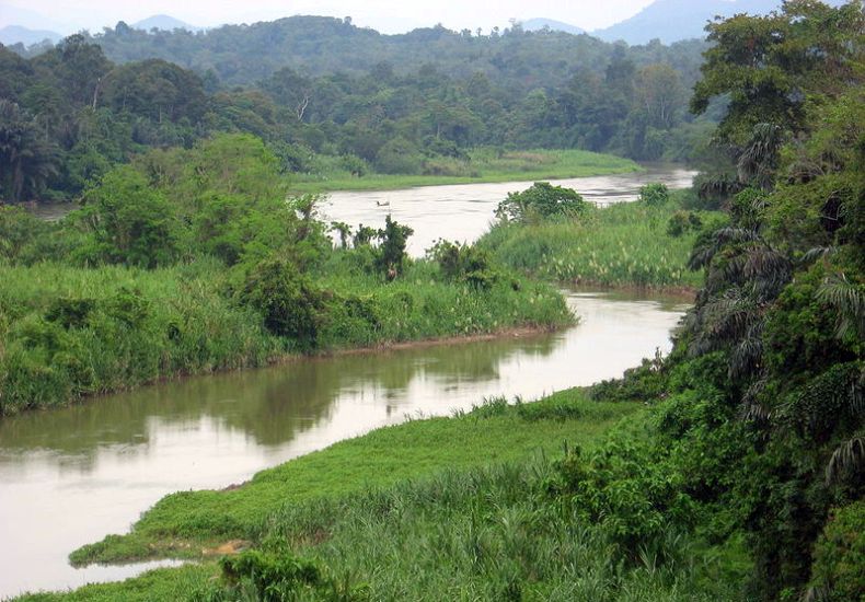 Perak River