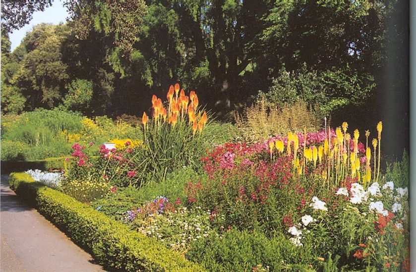 Botanic Gardens in Christchurch