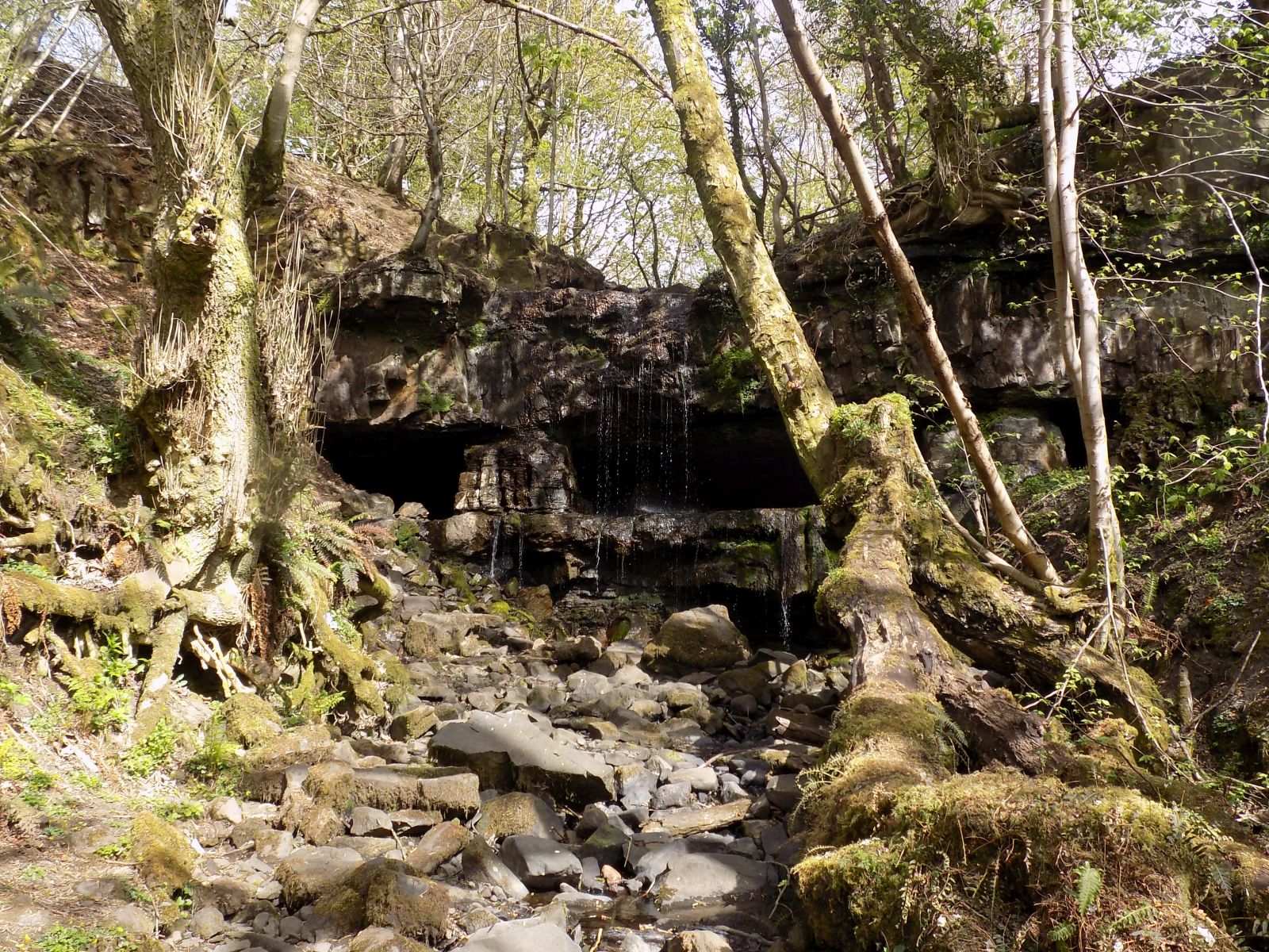 Blairskaith Linn on Branziet Burn in front of the Linn Caves