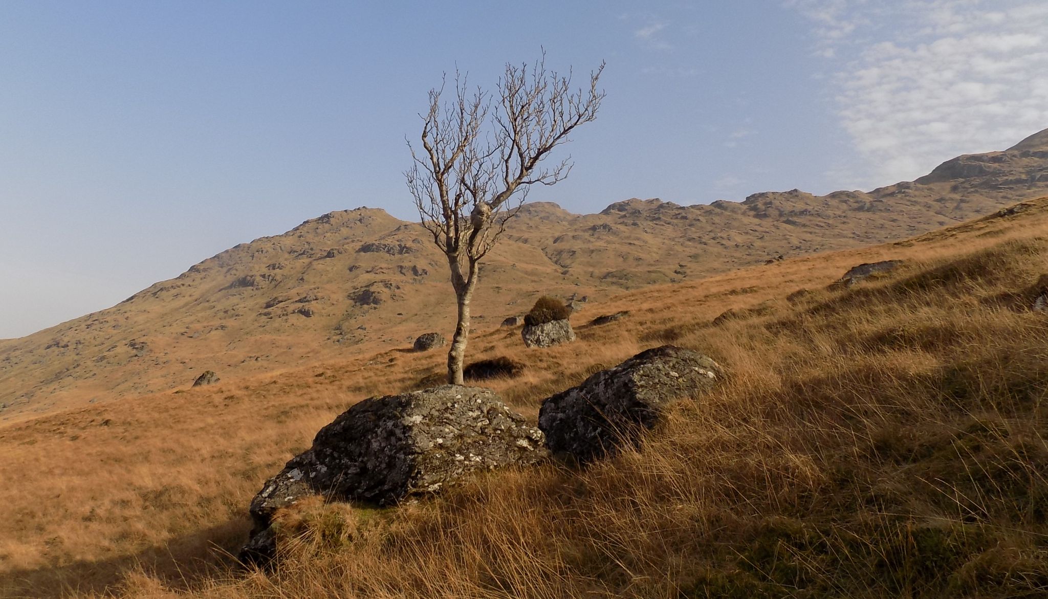 NW Ridge of Cruach Ardrain above Coire Earb