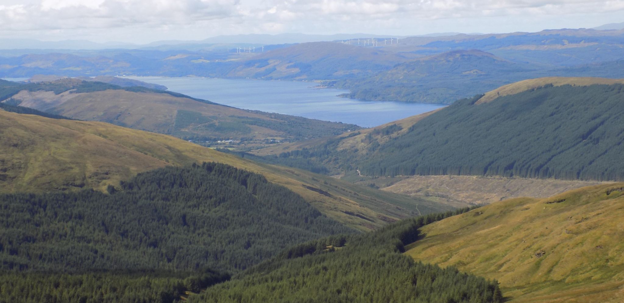 Loch Fyne from summit of Beinn Tharsuinn