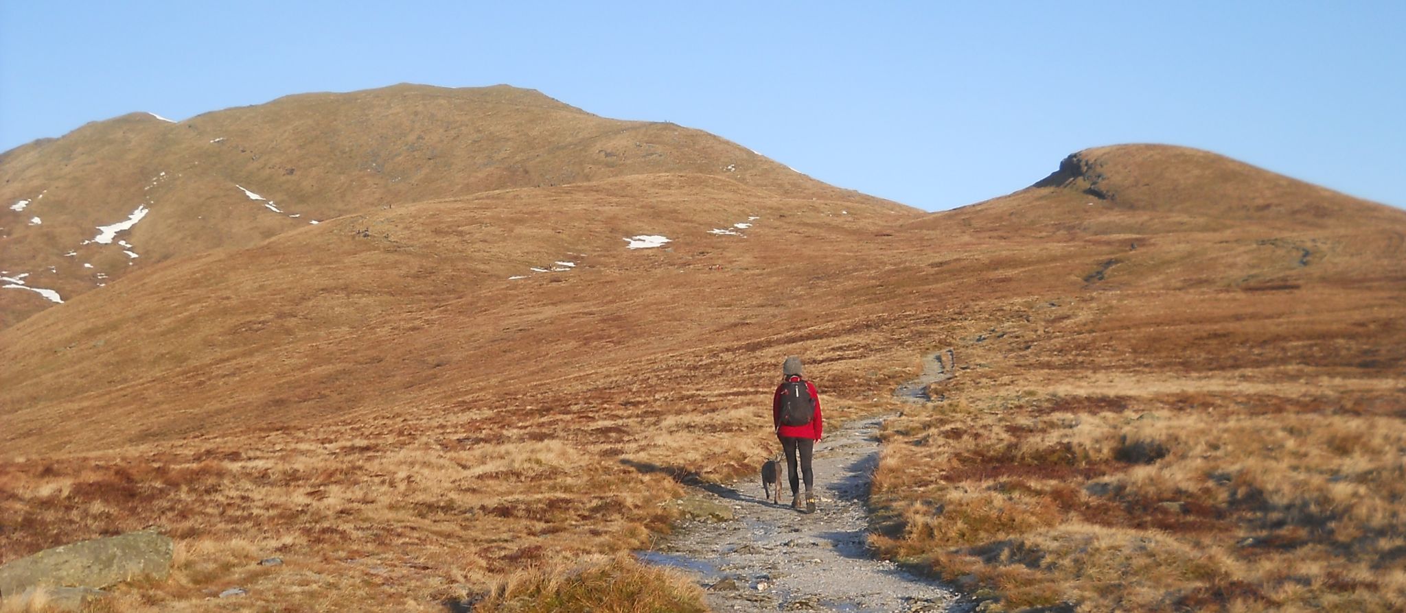 On ascent of Ben Lomond