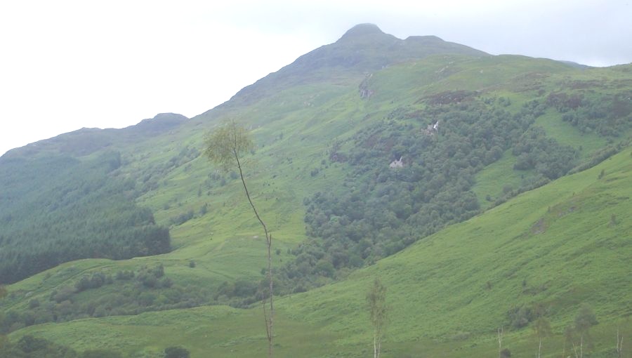 Ptarmigan sub-peak on Ben Lomond