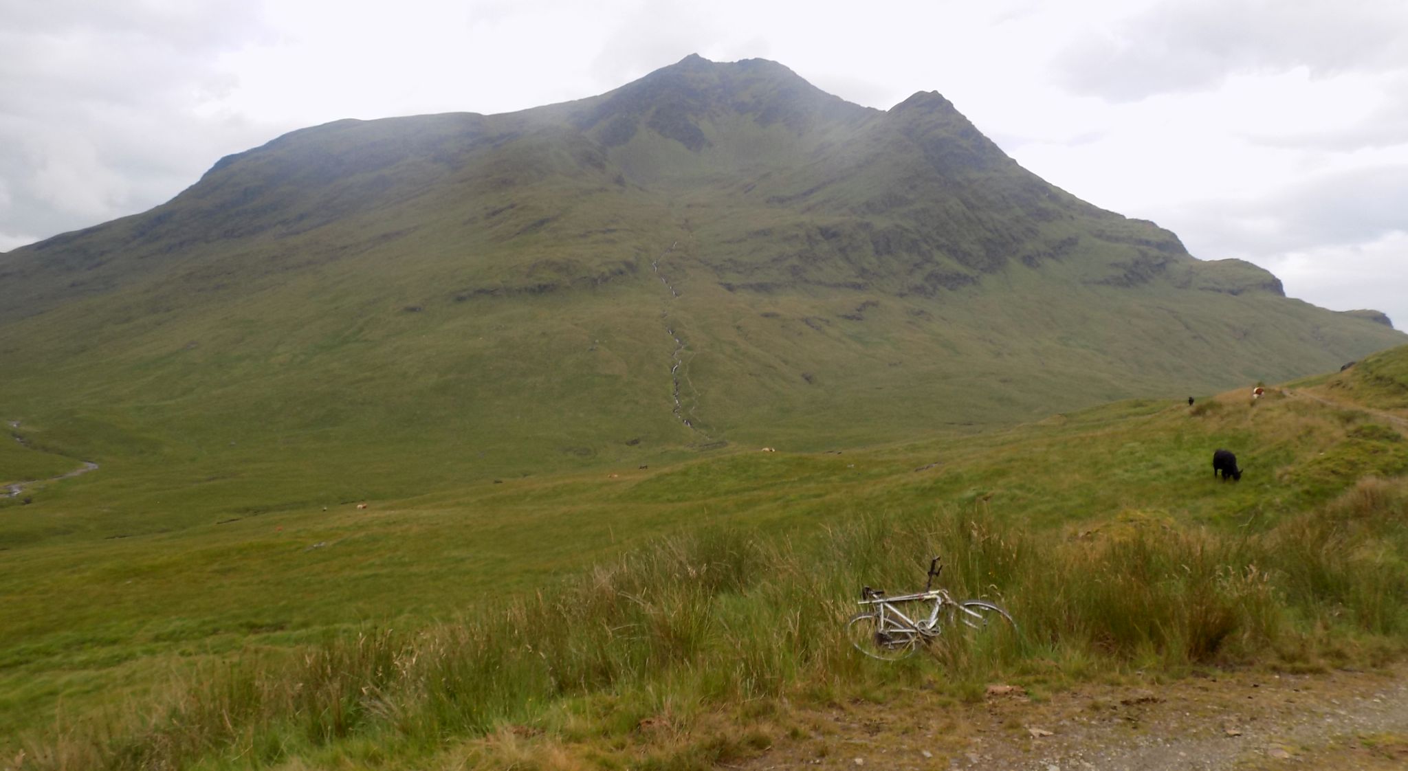 Ben Lui above track from Cononish Farm