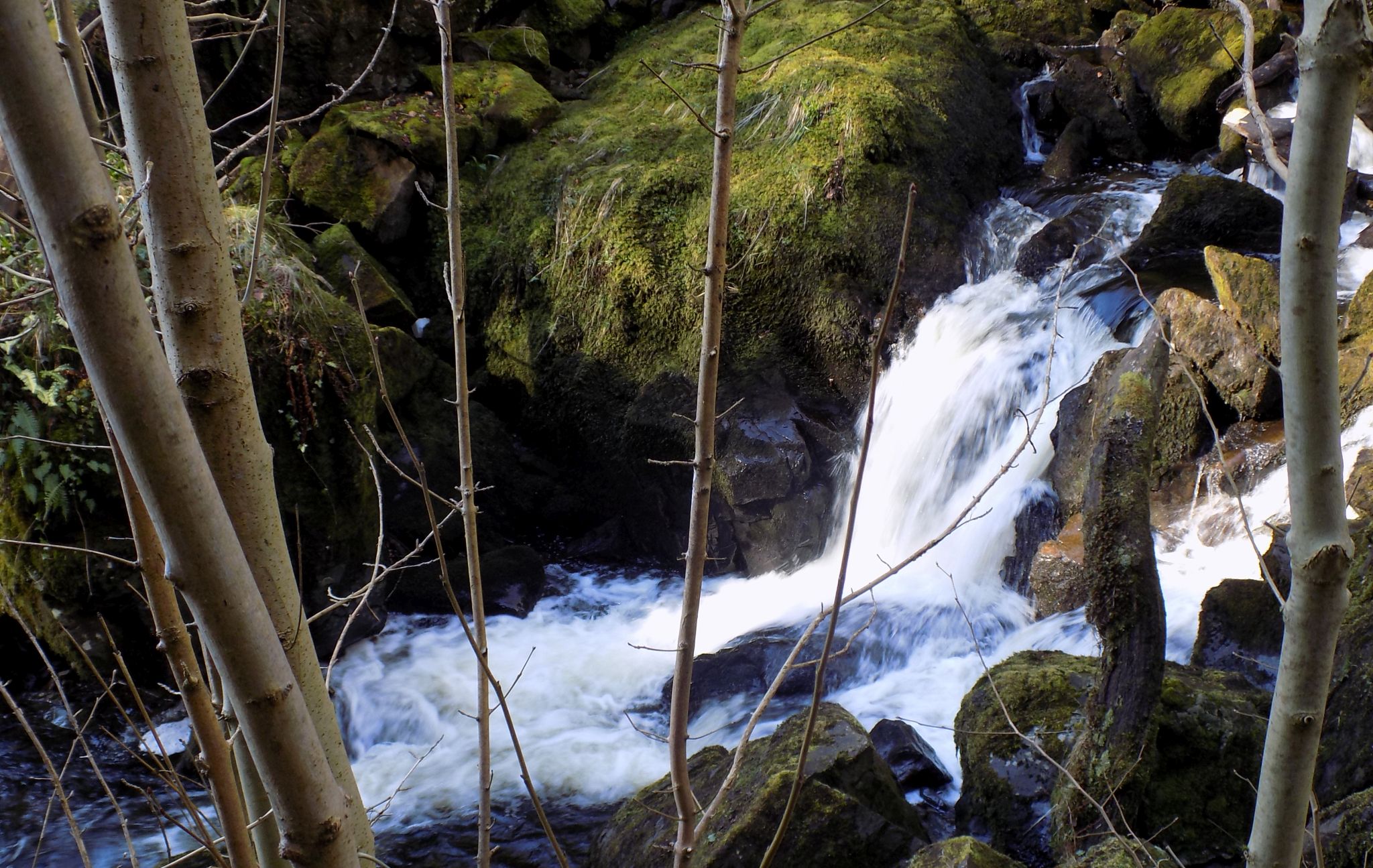 Waterfall on Kirk Burn in Campsie Glen