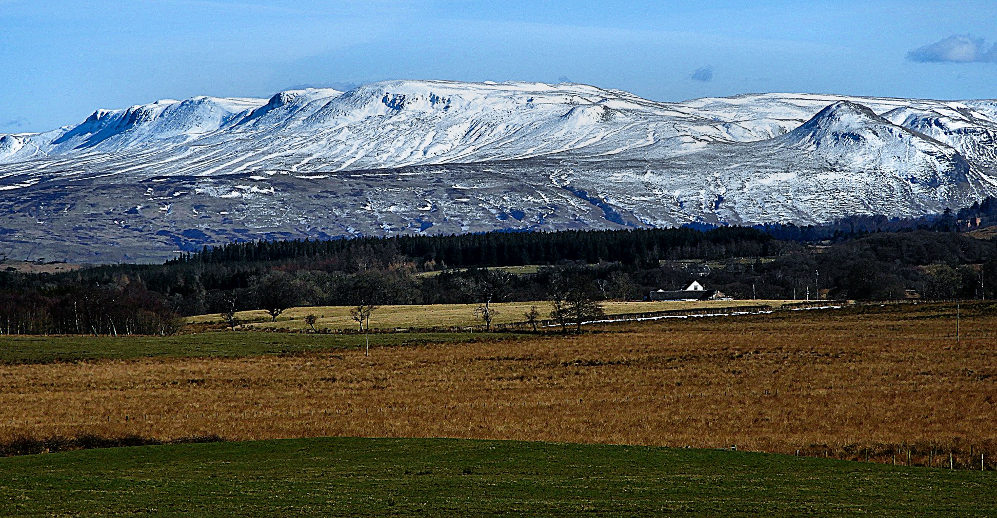 Campsie Fells