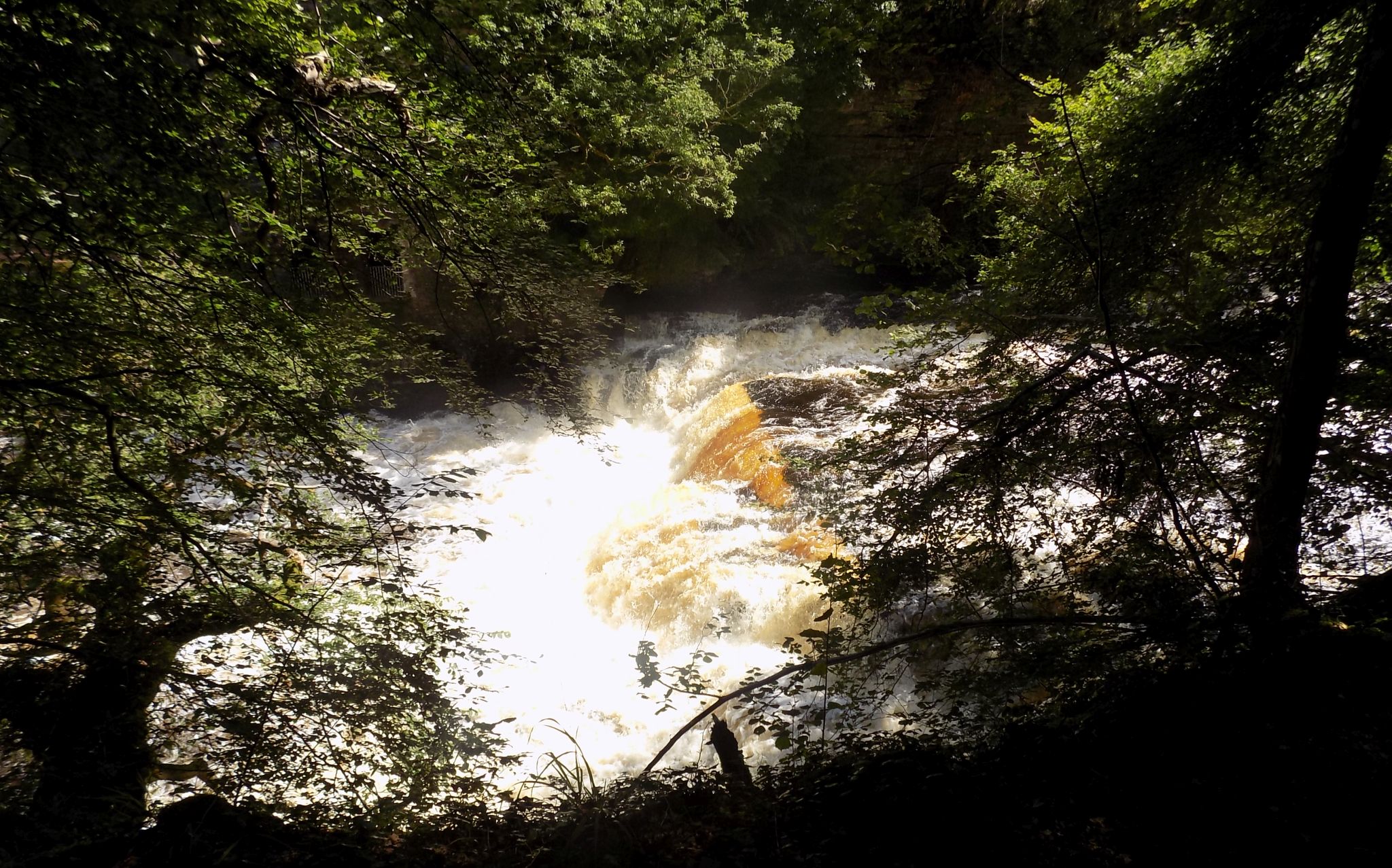 The Falls of Clyde