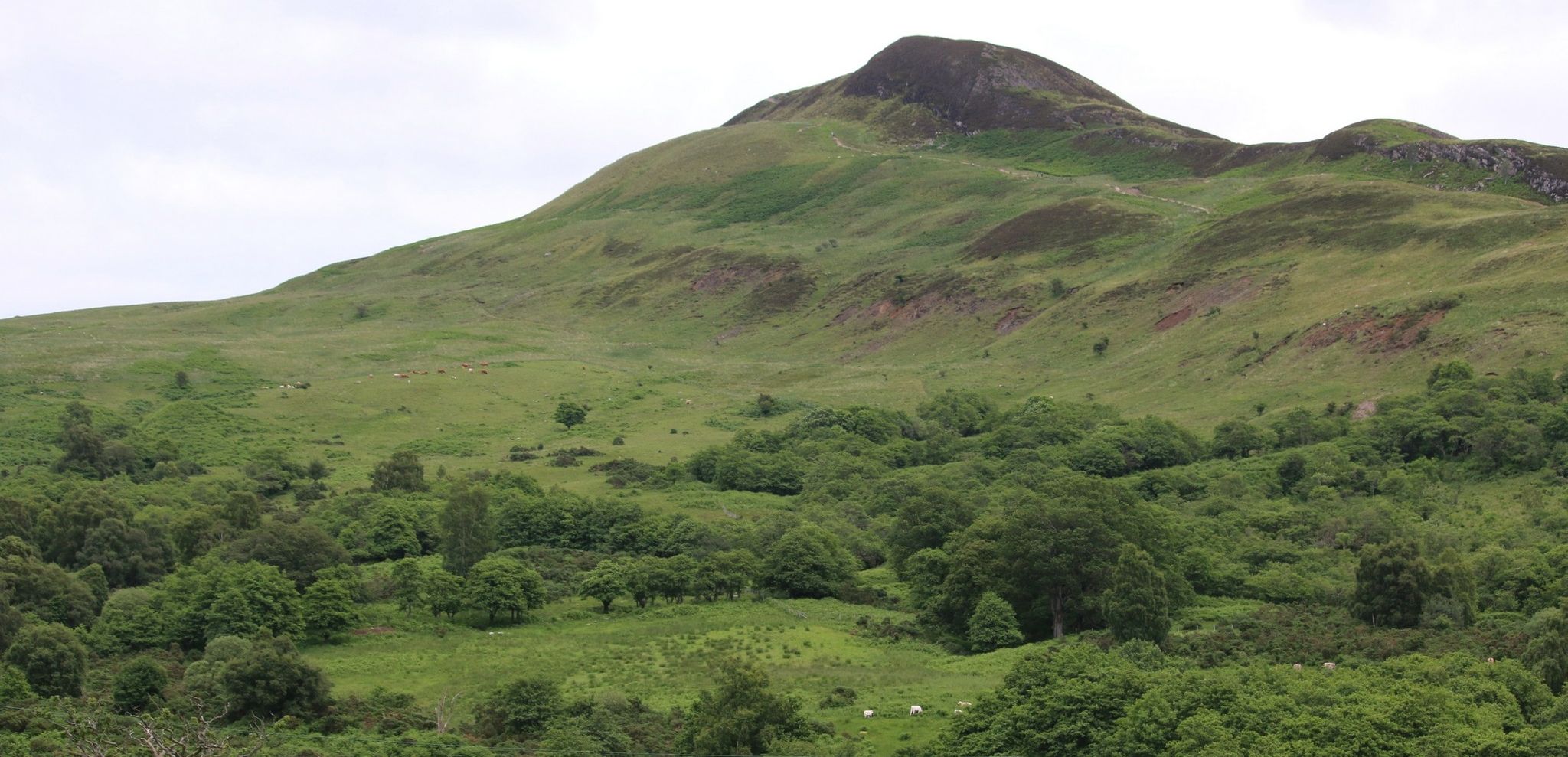 Approach to Conic Hill