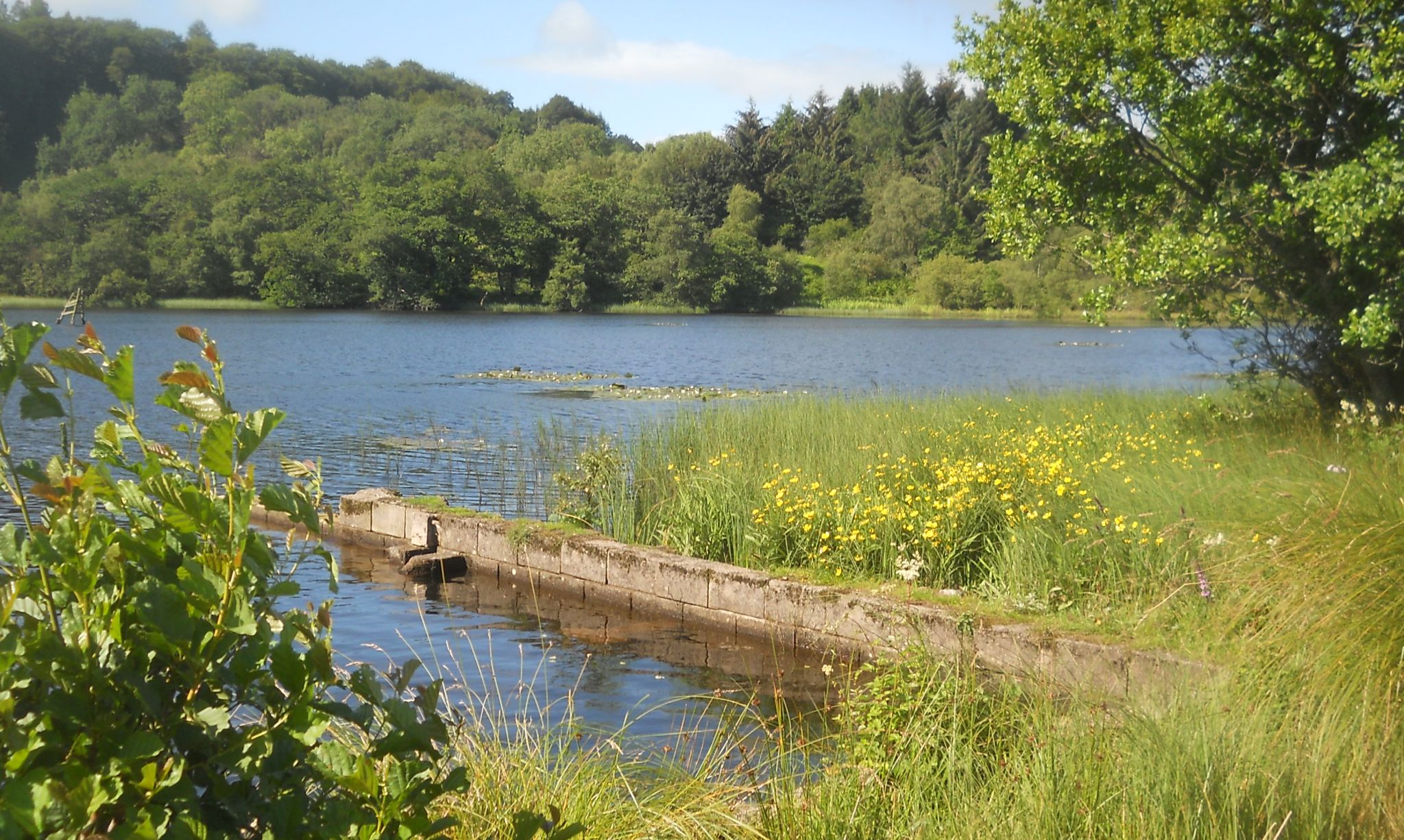 West Highland Way - Carbeth Loch