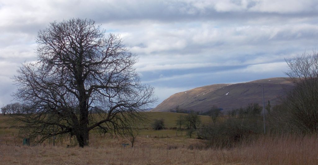 Campsie Fells / Kilsyth Hills from Croy