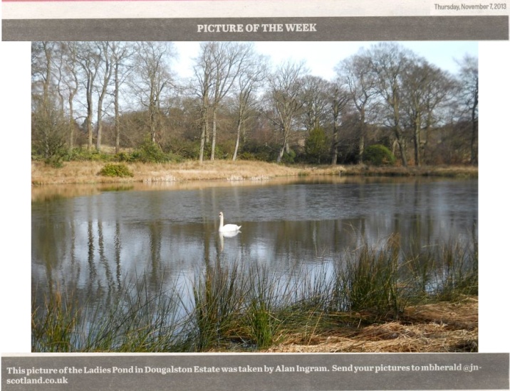 The Ladies Pond on Dougalston Estate