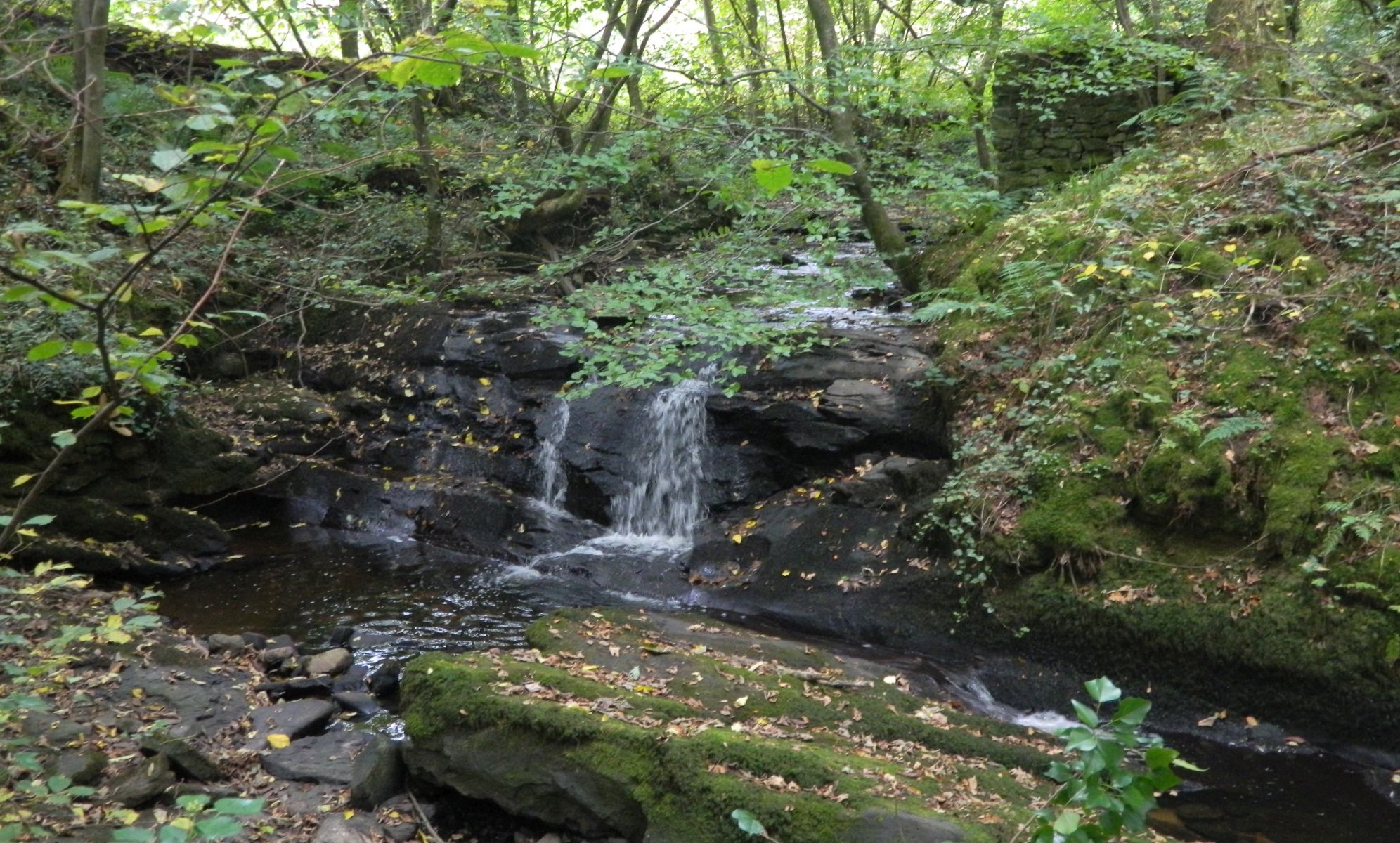 Waterfalls on  Kilmahew Burn