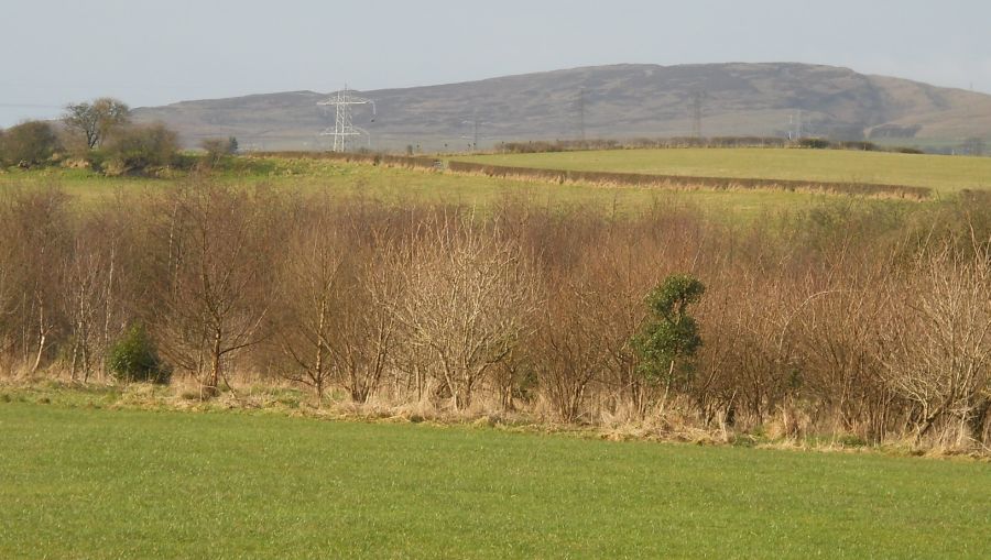 Kilpatrick Hills from Baljaffrey