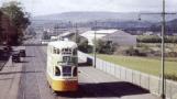 tram_milngavie_1955.jpg