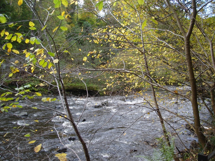 White Cart River from walkway alongside Linn Park