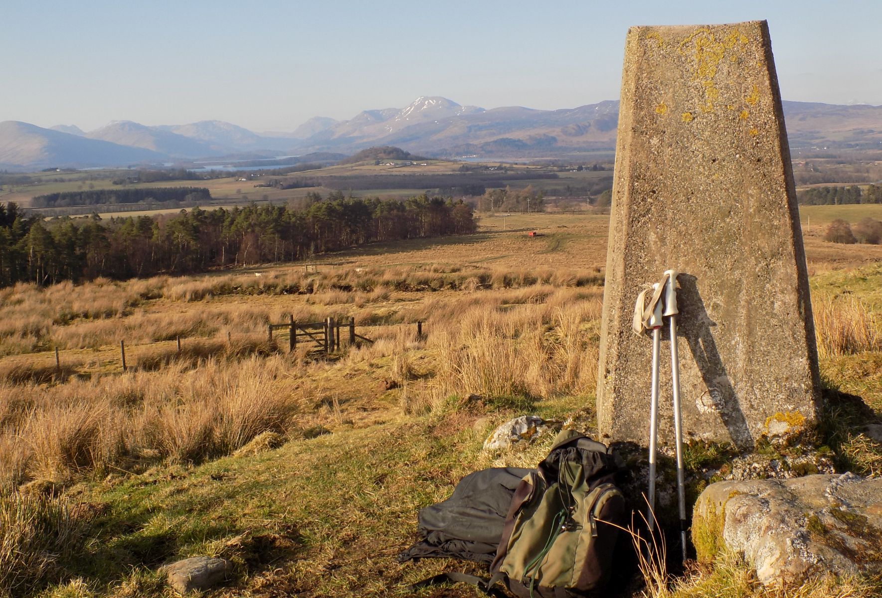 Ben Lomond from trig point on Gallangad Muir