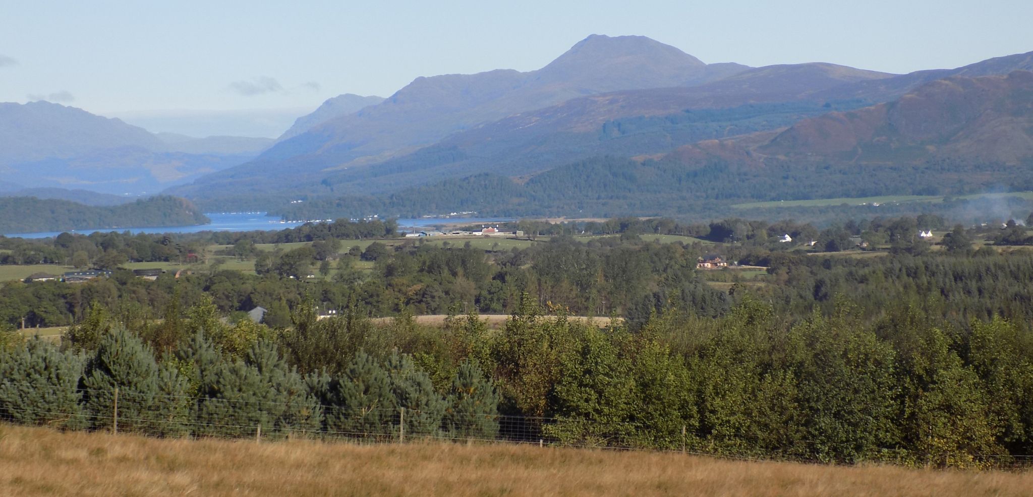 Ben Lomond from Cameron Muir