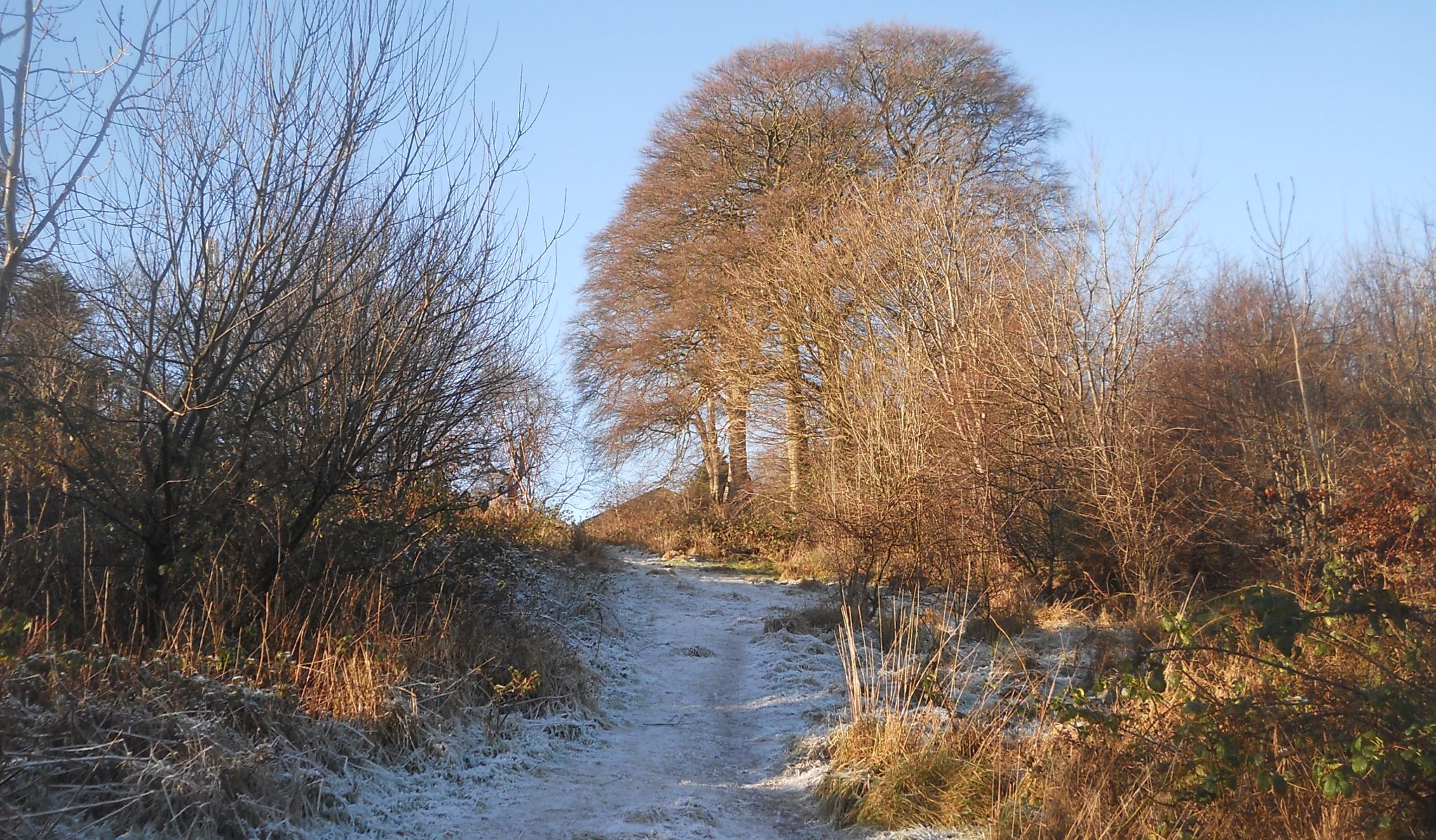 Russel's Field above North Grange Road