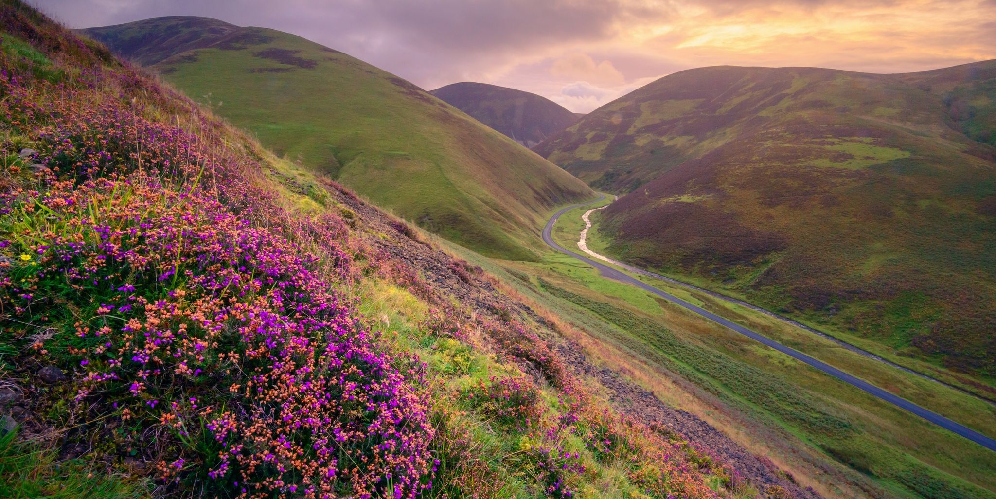 Path through Green Cleuch