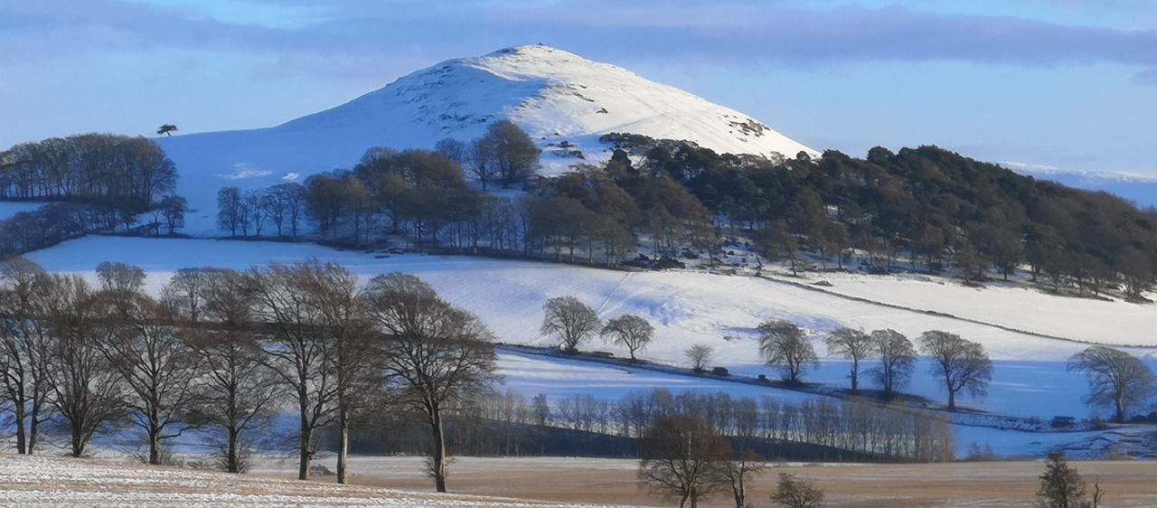 Tinto Hill