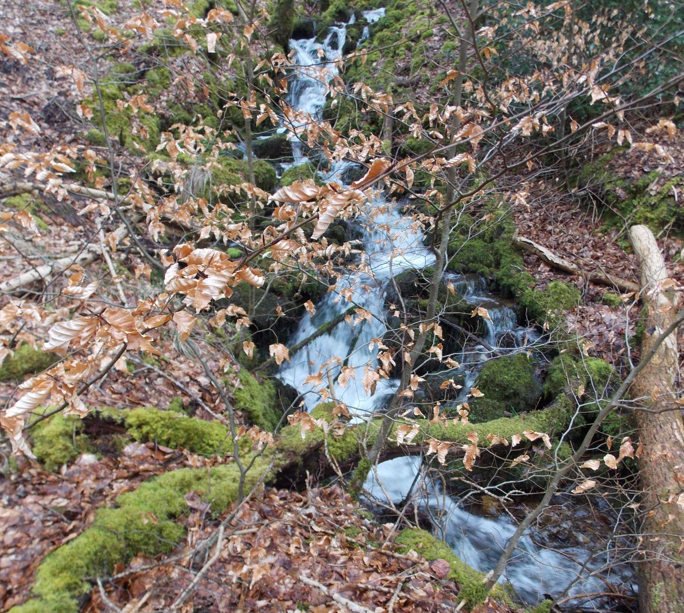 Waterfall on burn above Culcreuch Castle