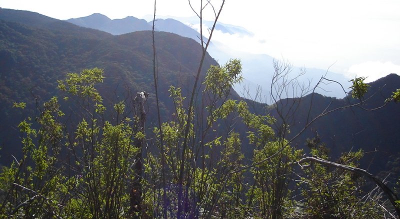 "World's End" in Horton Plains National Park