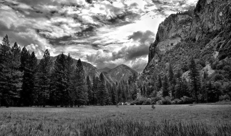 Yosemite, the Incomparable Valley