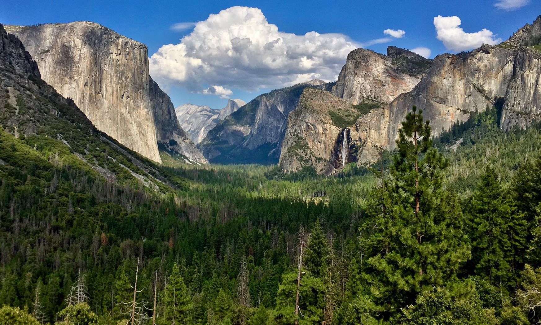 Yosemite, the Incomparable Valley