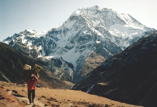 Mt. Pang Puchi on ascent from Samdu to the Larkya La