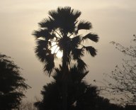 Sunsets on the Atlantic coast of The Gambia in West Africa